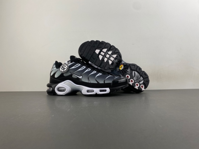 Air Max Plus Black Silver White DM0032-003
