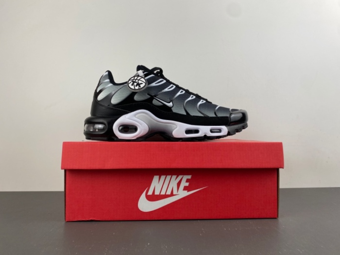 Air Max Plus Black Silver White DM0032-003