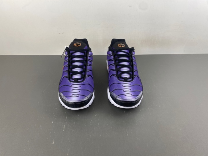 Air Max Plus OG Voltage Purple DX0755-500