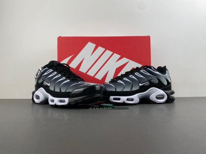 Air Max Plus Black Silver White DM0032-003