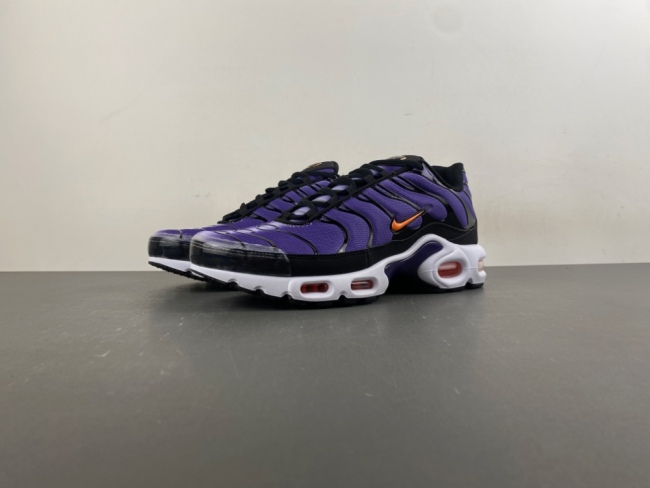 Air Max Plus OG Voltage Purple DX0755-500