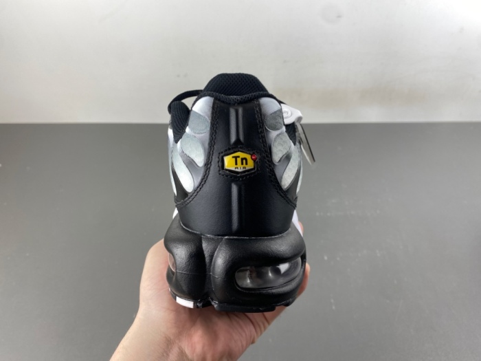 Air Max Plus Black Silver White DM0032-003