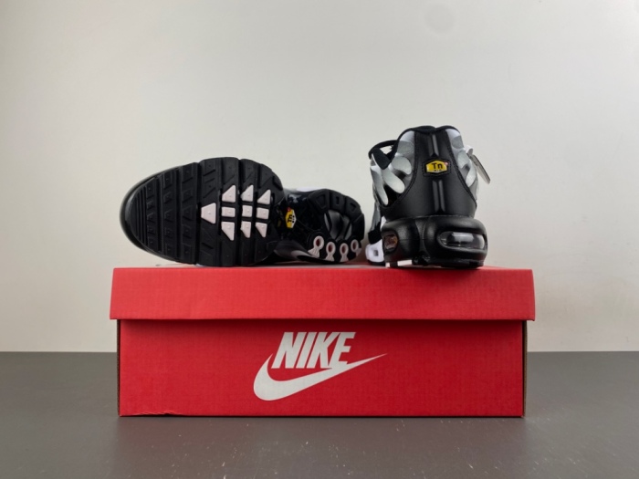 Air Max Plus Black Silver White DM0032-003