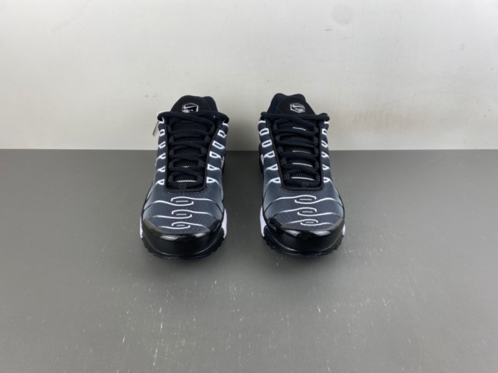 Air Max Plus Black Silver White DM0032-003