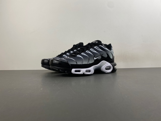Air Max Plus Black Silver White DM0032-003
