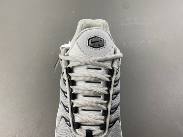 Air Max Plus Wolf Grey 852630-021