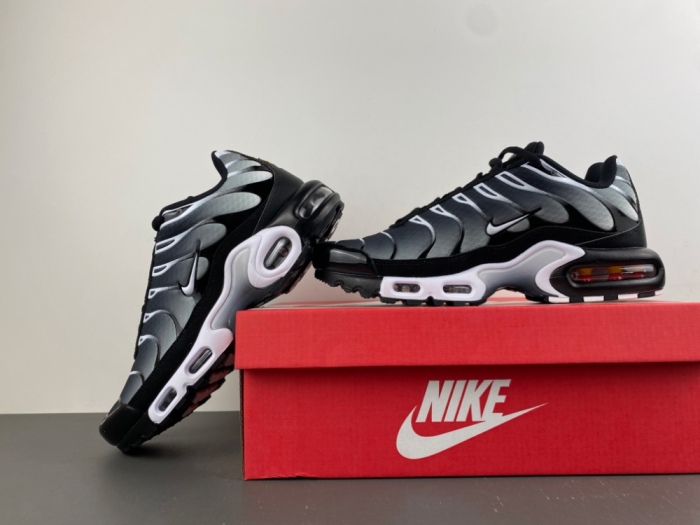 Air Max Plus Black Silver White DM0032-003