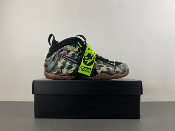 Air Foamposite Pro Army Camo IM5204-001