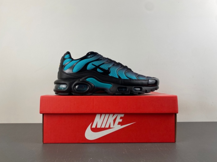 Air Max Plus Black Dusty Cactus DM0032-016