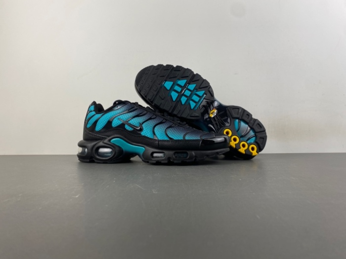 Air Max Plus Black Dusty Cactus DM0032-016
