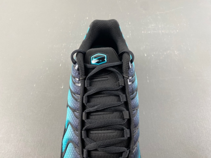 Air Max Plus Black Dusty Cactus DM0032-016