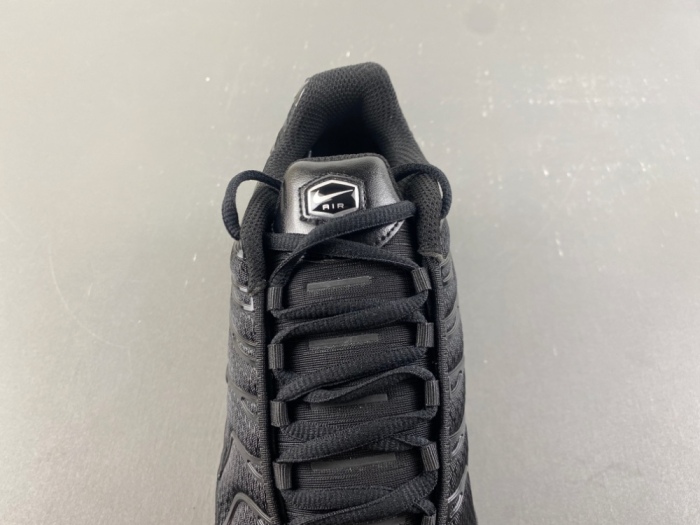 Air Max Plus Triple Black 604133-050