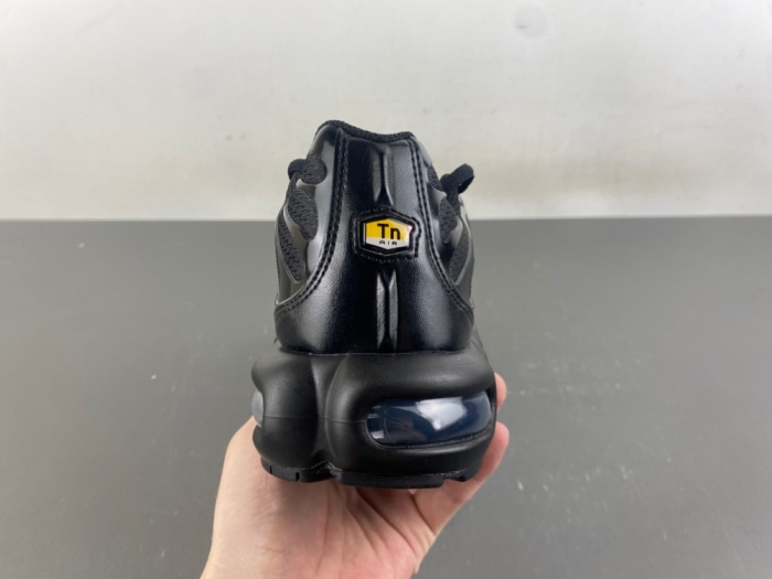 Air Max Plus Triple Black 604133-050