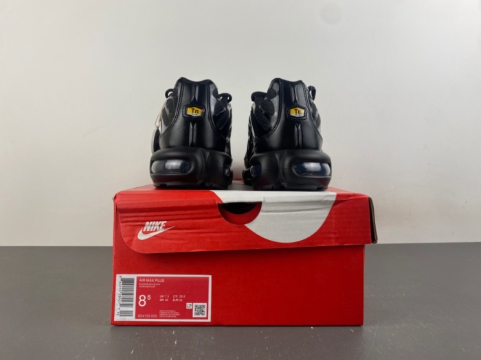 Air Max Plus Triple Black 604133-050