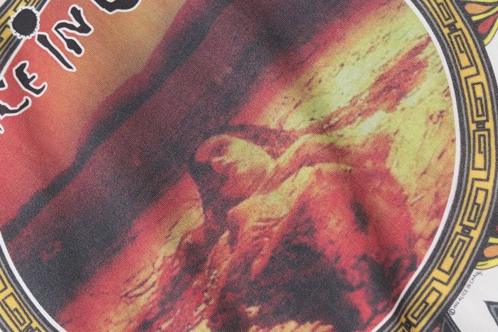 Alice in Chains “DIRT” vintage tee