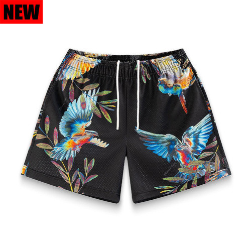 Spring Bird Scene Print Shorts 2 colors