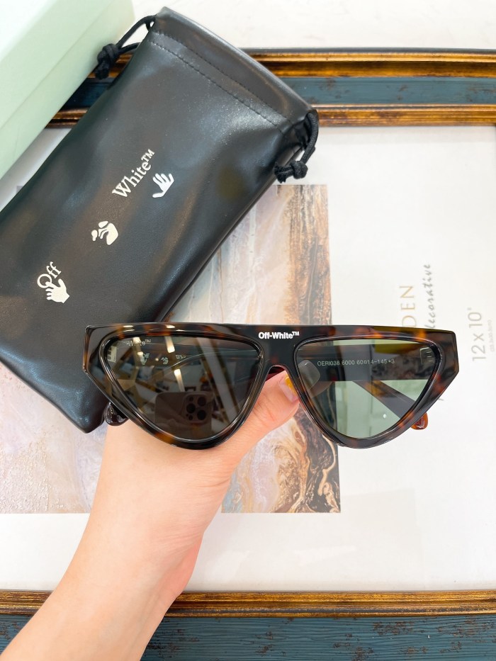 1:1 quality version Fashion inverted triangle thick sunglasses 6 Colors