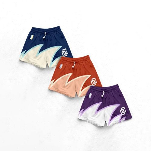 Small Logo Flame Shorts 6 colors