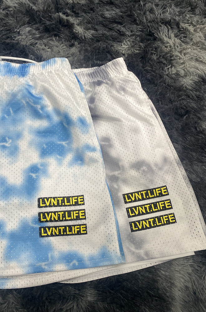  LVNTLIFE Mesh Double Layer Sports Basketball Quick Dry Shorts 2 colors