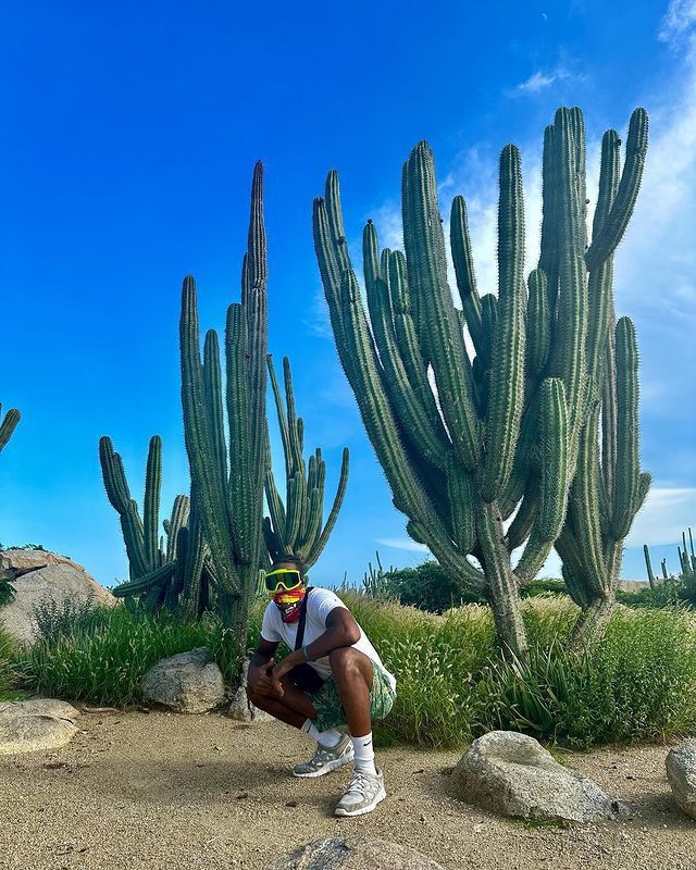  Fullmark Maple Leaf Series Mesh Quick Dry Breathable Athletic Shorts 3 colors