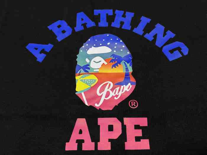 Beach Sunset Ape Head Two Color Letter Print Tee 2 colors