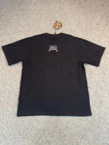 Lost Color Snow Mountain Ape Head Tee 2 colors