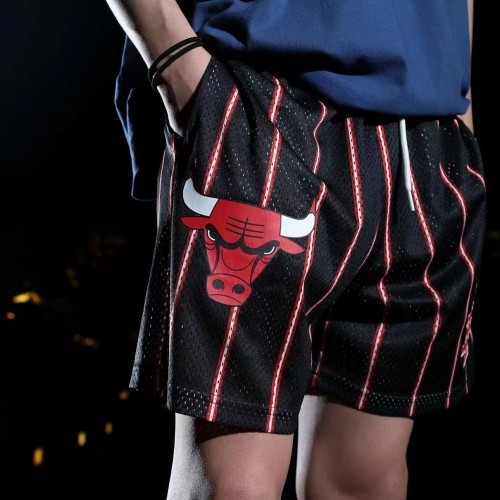 Basketball team logo print mesh shorts 6 colors