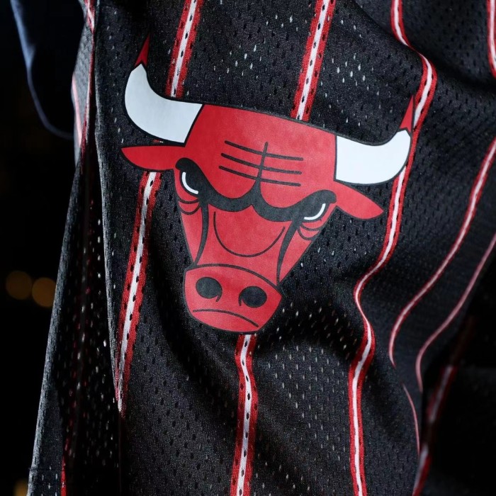 Basketball team logo print mesh shorts 6 colors
