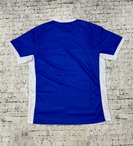 2024/2025 Birmingham City Home Football Shirt 1:1 Thai Quality