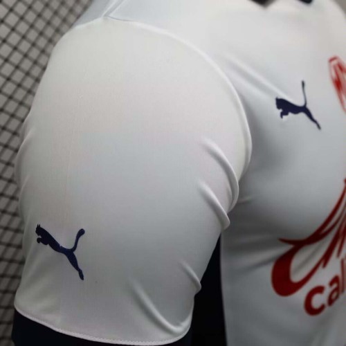 2024/2025 Player Version Chivas Away Soccer Jersey 1:1 Thai Quality