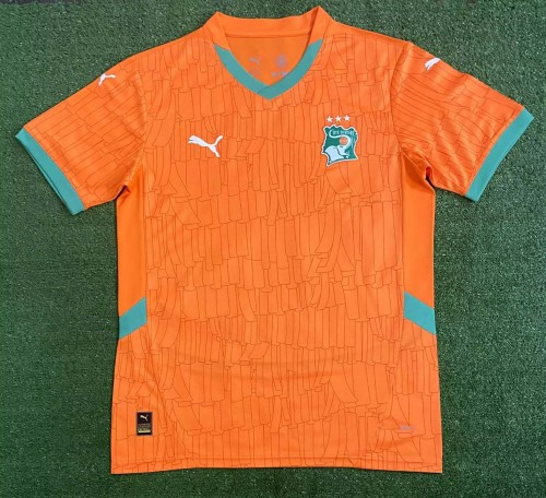 2024/2025 C?te d'Ivoire National Team Home Football Shirt 1:1 Thai Quality