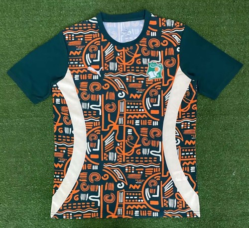 2024/2025 C?te d'Ivoire National Team Training Wear Football Shirt 1:1 Thai Quality
