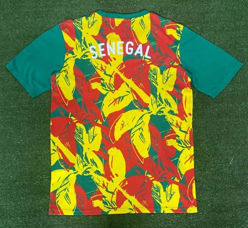 2024/2025 Senegal National Team Training Wear Football Shirt 1:1 Thai Quality