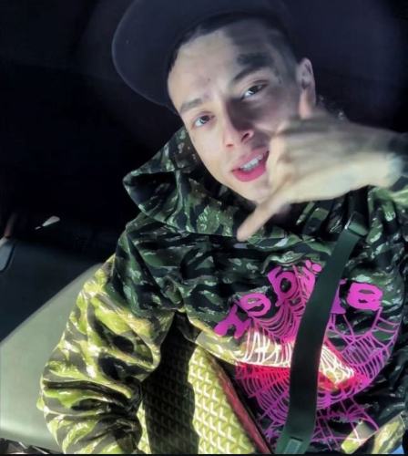 1:1 quality version 28020121 Pink Web Print Green Tiger Stripe Camouflage Hoodie & Pants Set