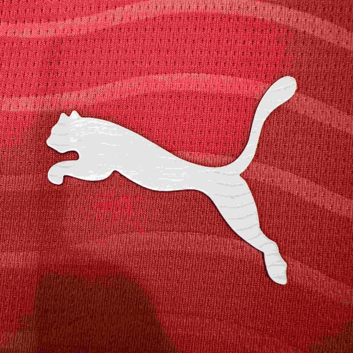 2026/2027 Burgundy Wave Pattern Portugal Home Jersey 2 Kind 28898443