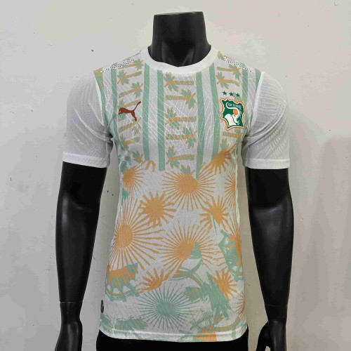 2026/2027 Ivory Coast Totem Away Authentic Jersey 29082273