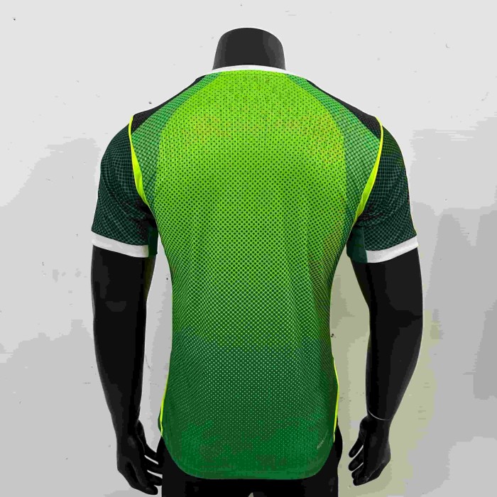 2026/2027 Nigeria Green Eagle Dot Pattern Home Authentic Jersey 29082276