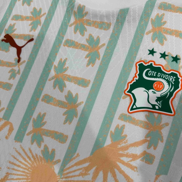 2026/2027 Ivory Coast Totem Away Authentic Jersey 29082273