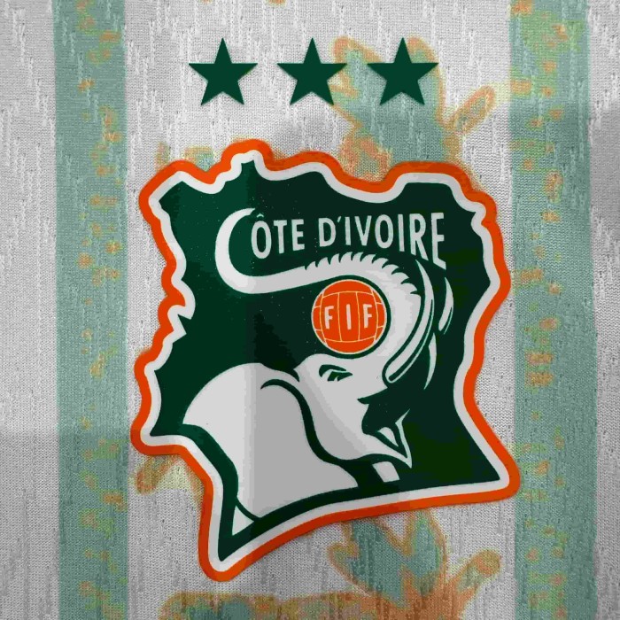 2026/2027 Ivory Coast Totem Away Authentic Jersey 29082273