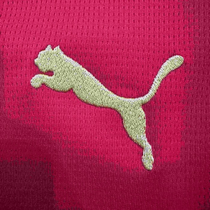 2026/2027 Morocco Atlas Lion Home Jersey 2 Kind 29085322