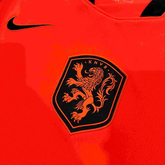 2026/2027 Netherlands Orange Lion Blaze Home Jersey 2 Kind 29085316