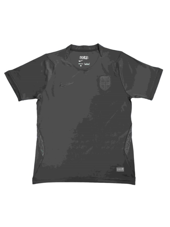 2026/2027 Norway Away Replica Jersey 29093786