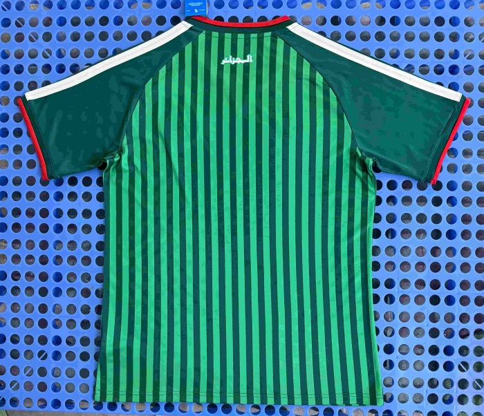 2026/2027 Algeria Away Replica Jersey 29093776