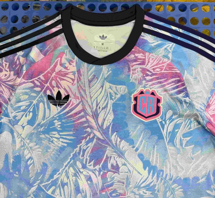 2026/2027 Costa Rica Away Replica Jersey 29093781