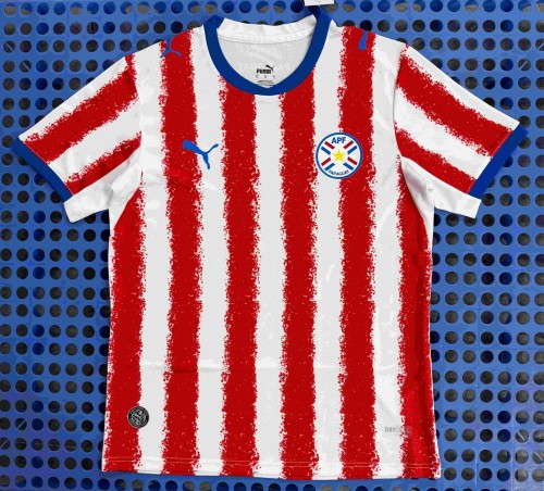 2026/2027 Paraguay Home Replica Jersey 29093780