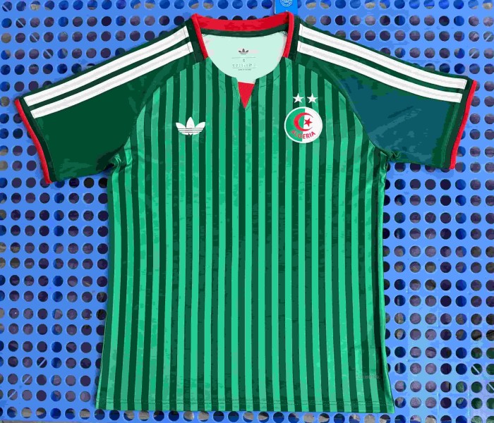 2026/2027 Algeria Away Replica Jersey 29093776