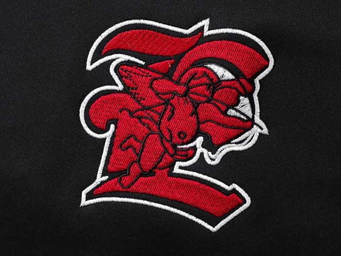 Red Label Cupid Embroidery And Side Webbing Stand Collar Hoodie 29116521