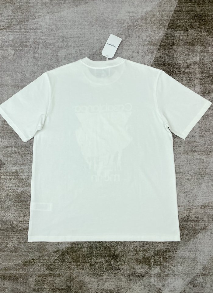 1:1 quality version Transparent Triangle Vibrant Striped Angelfish Seaweed French  fond marin  Letter Print T-shirt 29220582