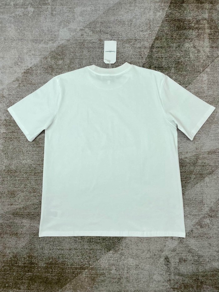 1:1 quality version Light Blue Triangle Illustrated Armadillo Paris Letter Print T-shirt 2 colors 29220558