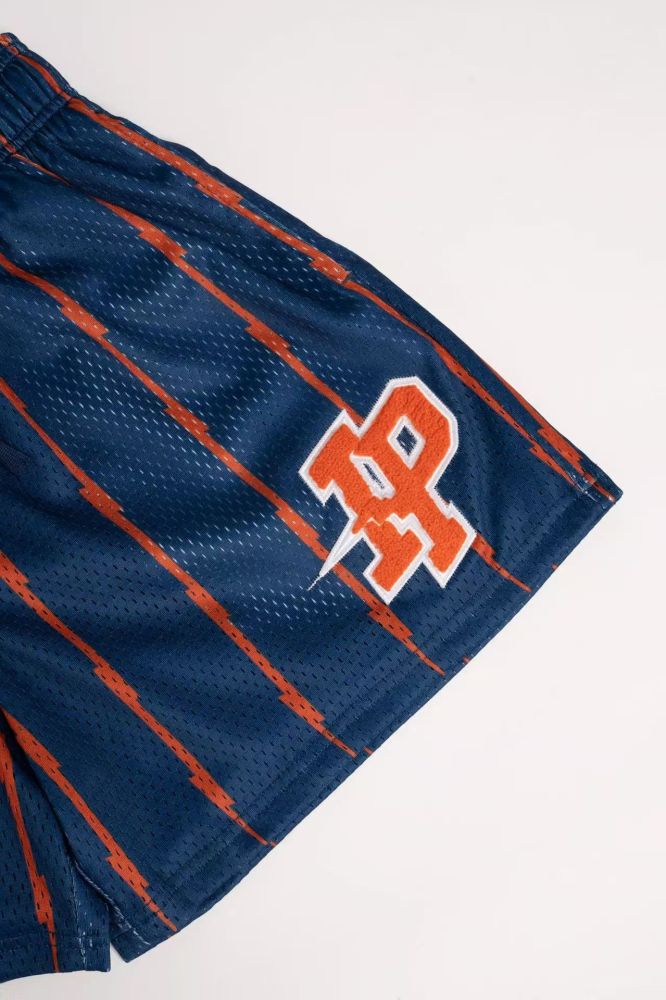 Vertical Lightning Striped Fine Mesh IP Logo Quick Dry Basketball Running Shorts 3 colors 29284374
